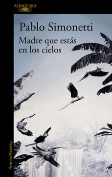 madre que estas en los cielos-pablo simonetti-9788420433516
