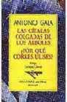 las citaras colgadas de los arboles; por que corres ulises?-9788423919116