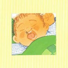 en quim i la mosca-enric larreula-9788430721016