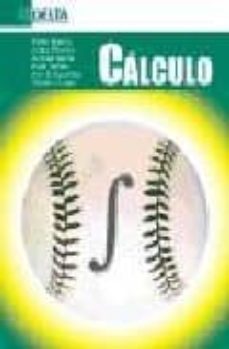 calculo-pablo martin-9788493403416
