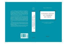 litigios civiles en tiempos de crisis. especial consideracion a l a conflictividad en el ambito inmobiliario.-alonso gutierrez ayuso-9788497909716