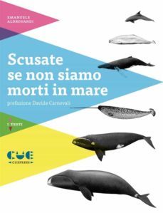 scusate se non siamo morti in mare (ebook)-9788899737016