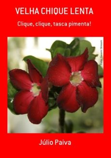 velha chique lenta (ebook)-júlio paiva-3410001424526