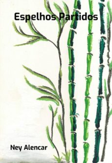 espelhos partidos (ebook)-alencar ney-3410007325926