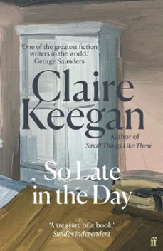 so late in the day (ebook)-claire keegan-9780571382026