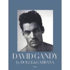 david gandy by dolce & gabbana-sue streetly rollin-9780847837526