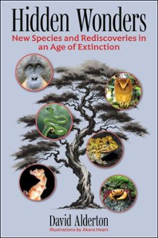 hidden wonders (ebook)-david alderton-9781510782426