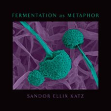 fermentation as metaphor (ebook)-sandor ellix katz-9781645020226