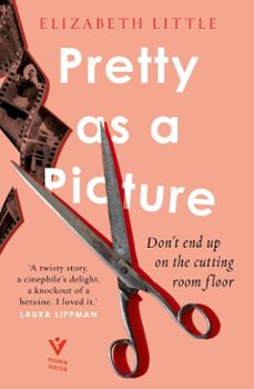 pretty as a picture (ebook)-elizabeth little-9781782277026