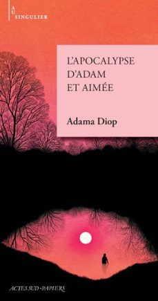 l'apocalypse d'adam et aimee (ebook)-adama diop-9782330218126