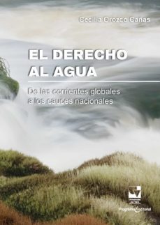 el derecho al agua. (ebook)-orozco cañas cecilia-9786287523326