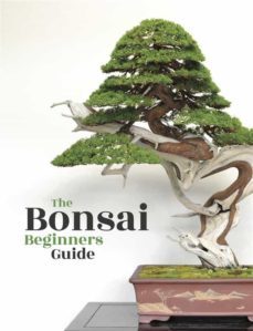 bonsai (ebook)-9788892502826