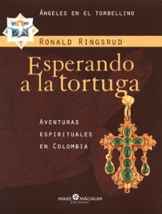 -ronald ringsrud-9789584933126