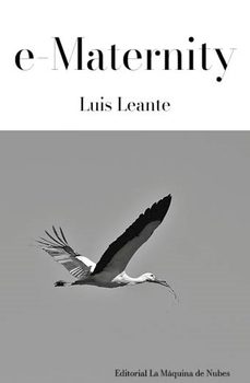 e-maternity-luis leante-9791399058826