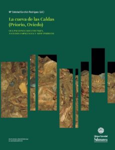 aproximacion a los patrones habitacionales de los niveles solutrenses de la cueva de las caldas (ebook)-mª soledad corchon rodriguez corchon rodriguez-paula ortega martinez-eh0166p409426