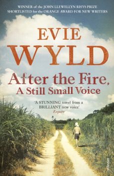 after the fire, a still small voice-evie wyld-9780099535836