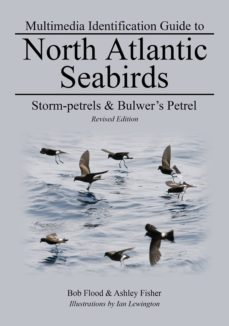 storm-petrels &amp; bulwer's petrel (ebook)-bob flood-ashley fisher-9780956886736