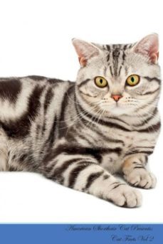 american shorthair cat presents-9781526964236