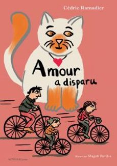 amour a disparu (ebook)-cedric ramadier-9782330159436