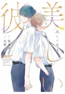 my beautiful man 3-yuu nagira-megumi kitano-9788410518636