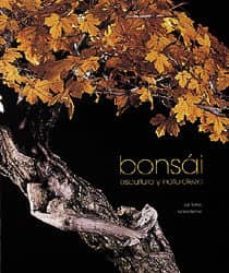 bonsai: escultura y naturaleza-9788477826736
