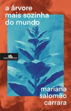 Imagen Principal de A árvore mais sozinha do mundo