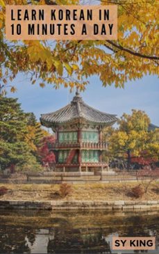 learn korean in 10 minutes a day (ebook)-sy king-9798231093236