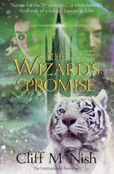 the wizard's promise (ebook)-cliff mcnish-9798231493036