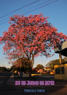 23 de junho de 2012 (ebook)-marcelo torca-3410003774346