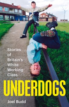 underdogs (ebook)-joel budd-9781035015146