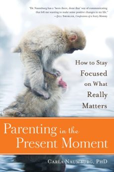 parenting in the present moment (ebook)-carla naumburg-9781937006846