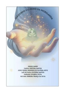 joozinho e o reino da microlandia (ebook)-denise sande e colaboradores-9786501096346