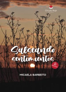salseando sentimientos (ebook)-9788411890946