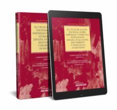 i plan de accion nacional sobre empresas y derecho humanos de esp aña.evaluacion seguimiento y propuestas de revision-carmen marquez carrasco-9788413080246
