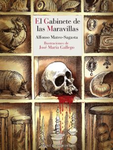 el gabinete de las maravillas (serie detective isidoro montemayor 2)-alfonso mateo-sagasta-jose maria gallego-9788419124746