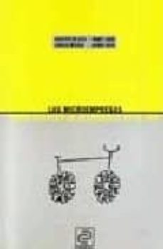 las microempresas como agentes de desarrollo en el sur-manuel gomez galan-javier sota ramos-9788487082146