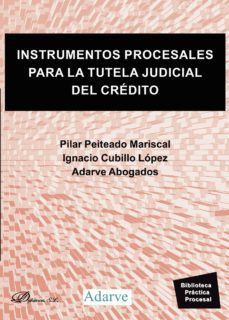 instrumentos procesales para la tutela judicial del credito. (ebook)-pilar peiteado mariscal-ignacio cubillo lopez-9788491486046