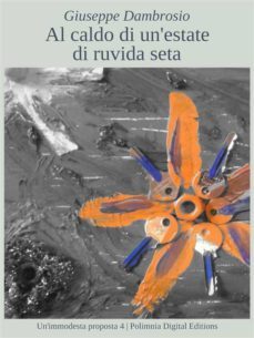 al caldo di un'estate di ruvida seta (ebook)-9788899193546
