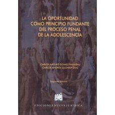 -carlos arturo gomez pavajeau-9789584681546