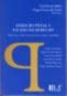 derecho penal y estado de derecho: reflexiones sobre la tension e ntre riesgos y seguridad.-paulo cesar busato-9789974676046
