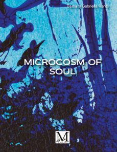 microcosm of soul (ebook)-9791223906446