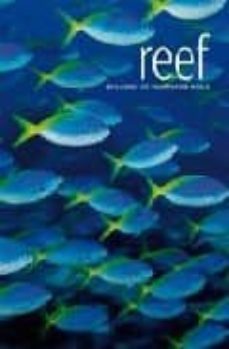 reef: an underwater journey-9781405322256