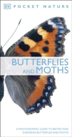 butterflies and moths-9781405349956