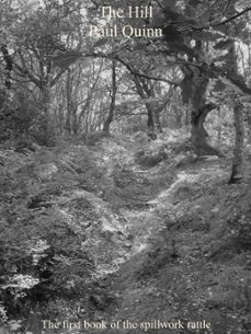 the hill (ebook)-paul quinn-9781458058256