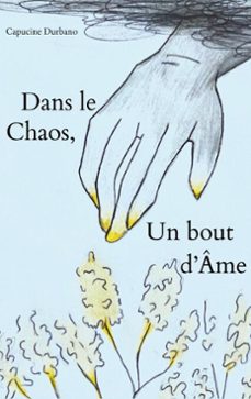dans le chaos, un bout d'âme-9782322532056