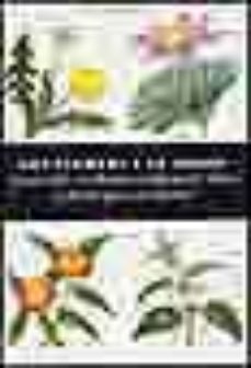las plantas y la salud: ayurveda, medicina tradicional china y fi toterapia occidental-penelope ody-9783822858356