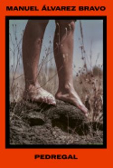 manuel alvarez bravo. pedregal-manuel alvarez bravo-9788410290556