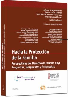 hacia la proteccion de la familia perspectivas del derecho de hoy preguntas, respuestas y propuestas-9788447034956