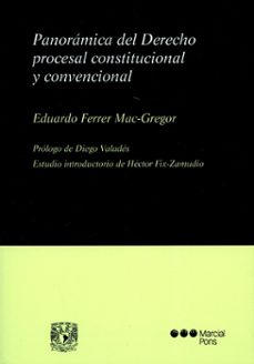 panoramica del derecho procesal constitucional y convencional-eduardo ferrer mac gregor-9788491232056
