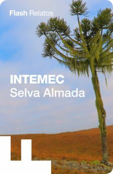 intemec (ebook)-9789874982056